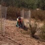 Video: Acacia Provides Emergency Erosion Control Measures for Malibu Homeowners Affected by the Woolsey Fire