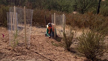 Video: Acacia Provides Emergency Erosion Control Measures for Malibu Homeowners Affected by the Woolsey Fire